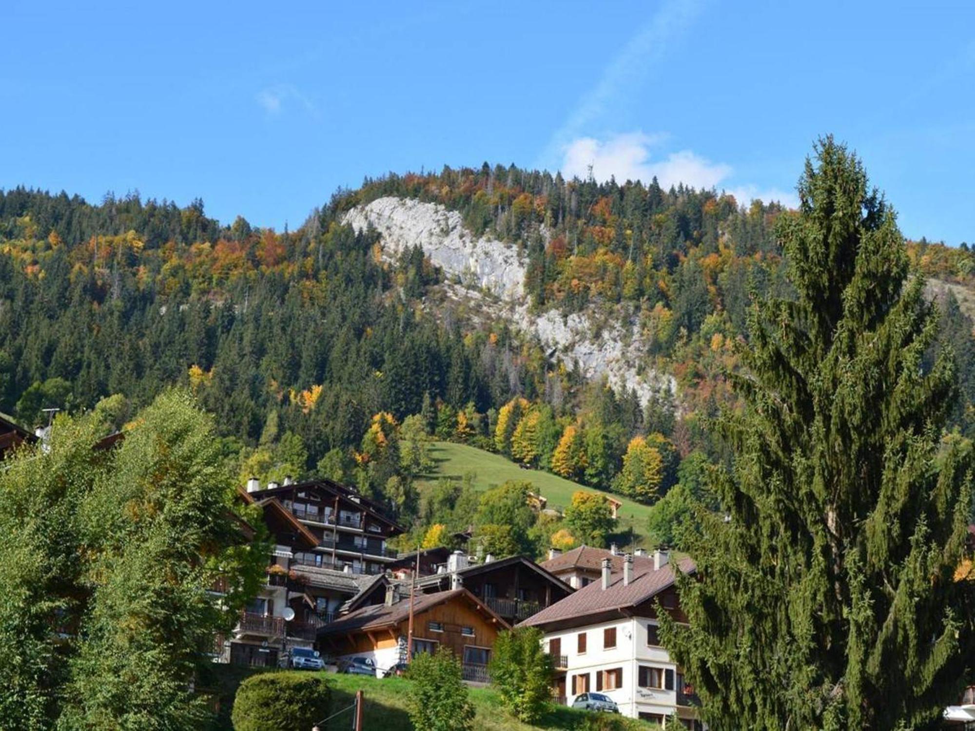 Studio Cosy 4 Pers, Centre Village, Parking, Ascenseur, Balcon - Le Grand-Bornand - Fr-1-241-185 Bagian luar foto